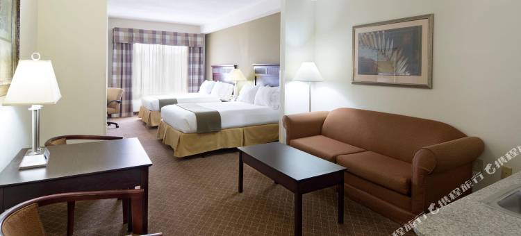 智选假日套房酒店加兹登的W -近阿塔拉(Holiday Inn Express & Suites Gadsden W-Near Attalla)图片