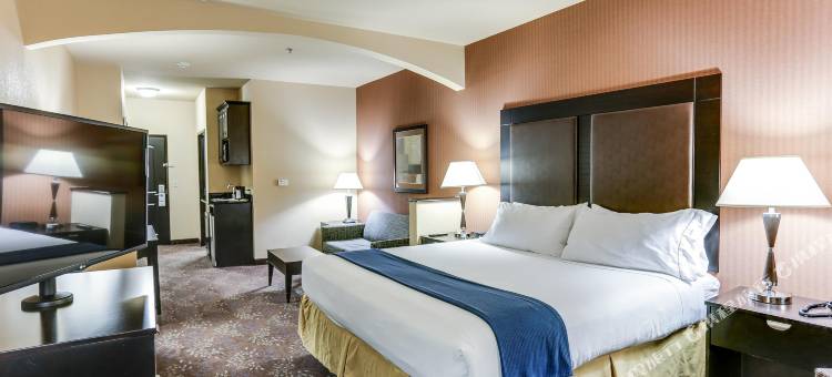 智选假日套房酒店亨茨维尔(Holiday Inn Express & Suites Huntsville)图片