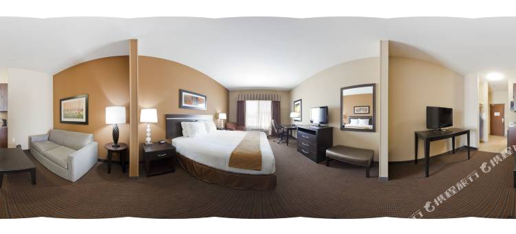 智选假日套房酒店拉马尔(Holiday Inn Express & Suites Lamar)图片