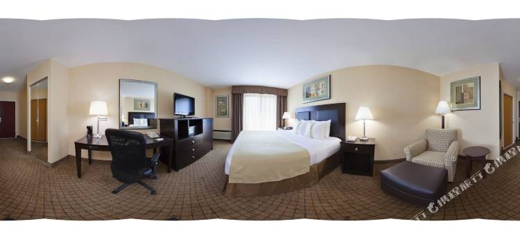 Holiday Inn 哈斯布鲁克阁，梅多兰兹(Holiday Inn Hasbrouck Heights-Meadowlands)图片