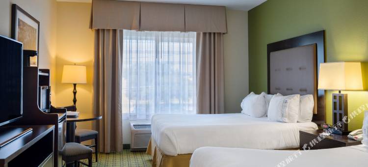 智选假日套房酒店萨凡纳 - 中城(Holiday Inn Express & Suites Savannah - Midtown)图片