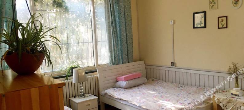 青岛韦迦咖啡青年旅舍图片