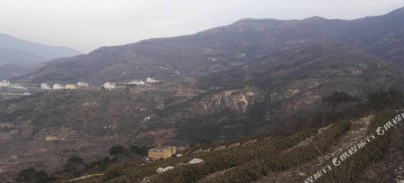 连云港顺风旅馆图片