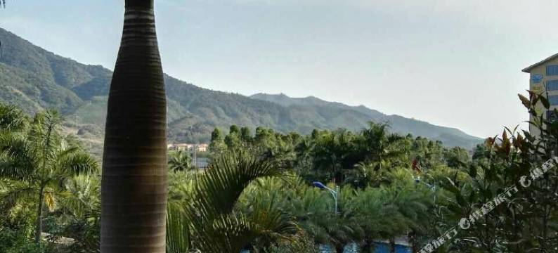 龙门南昆山·肯新顿温泉公寓式酒店图片