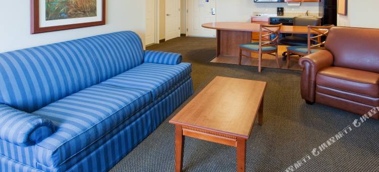 Candlewood Suites 卡拉马祖 by IHG(Candlewood Suites Kalamazoo)图片