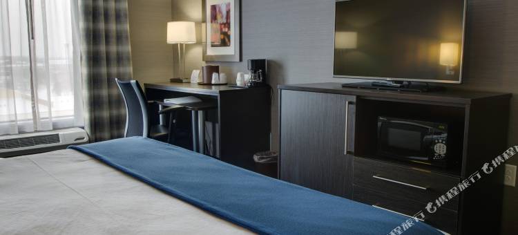 悉尼智选假日套房酒店(Holiday Inn Express & Suites Sidney)图片