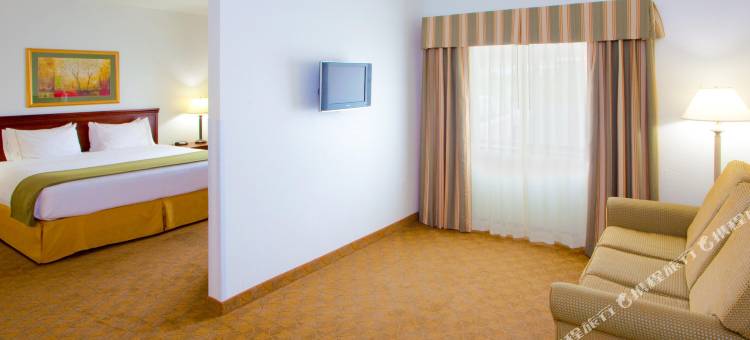 智选假日套房酒店埃尔金斯(Holiday Inn Express & Suites Elkins)图片