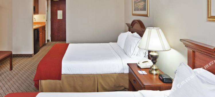 智选假日套房酒店梅斯基特(Holiday Inn Express & Suites Mesquite)图片