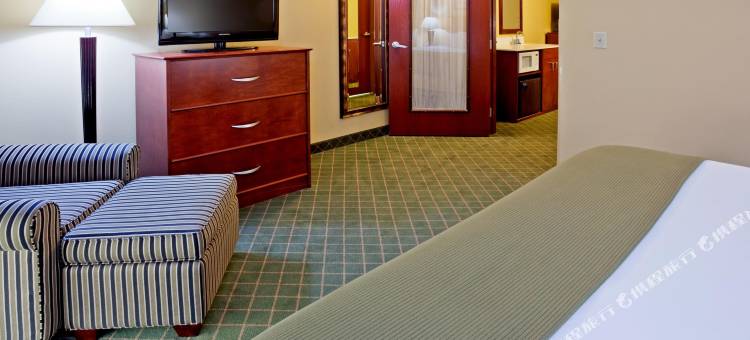 Holiday Inn Express & Suites Coon Rapids-Blaine Area图片