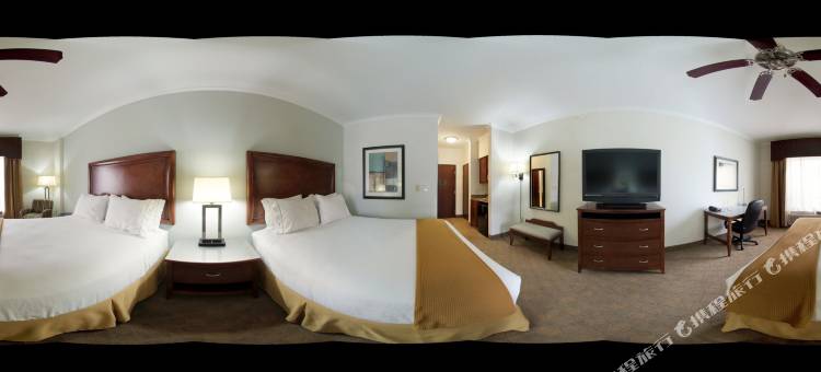 智选假日套房酒店拉夫金南(Holiday Inn Express & Suites Lufkin South)图片