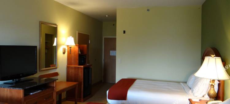 洲际酒店集团智选假日酒店及套房夏洛特港(Holiday Inn Express & Suites Port Charlotte, an IHG Hotel)图片