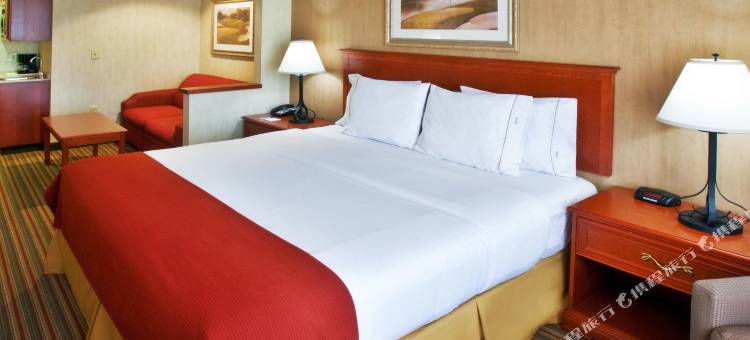 智选假日套房酒店苏中心(Holiday Inn Express & Suites Sioux Center)图片