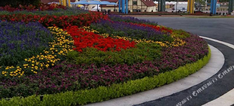 青岛金沙滩1分钟海景公寓图片