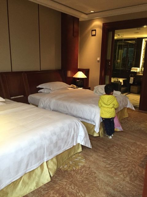 成都鱼凫国都温泉大酒店点评