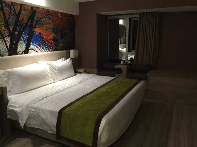 成都曼松酒店点评