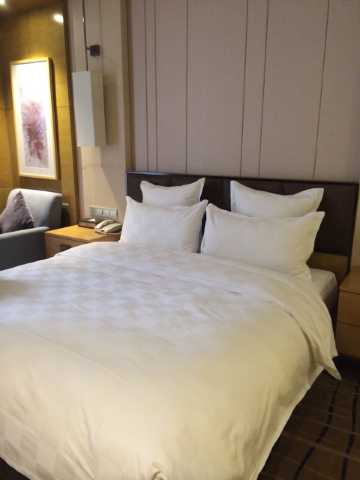 成都林恩国际酒店点评