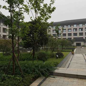 重庆渝州国宾馆点评