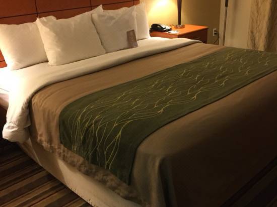 Comfort Inn Metro Airport Romulus Hotel Reviews And Room Rates