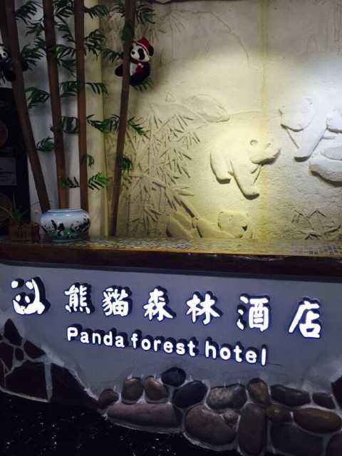 佛坪熊猫森林酒店图片
