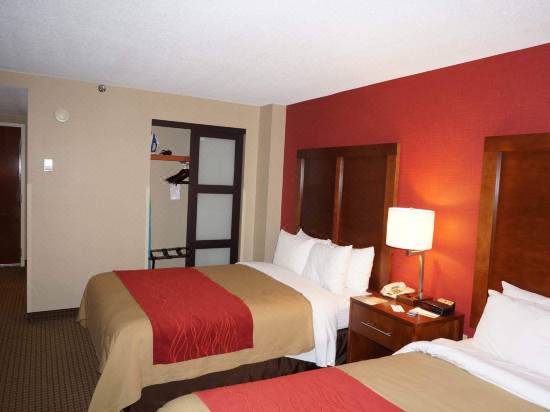 Comfort Inn Boston Hotel Reviews And Room Rates Trip Com