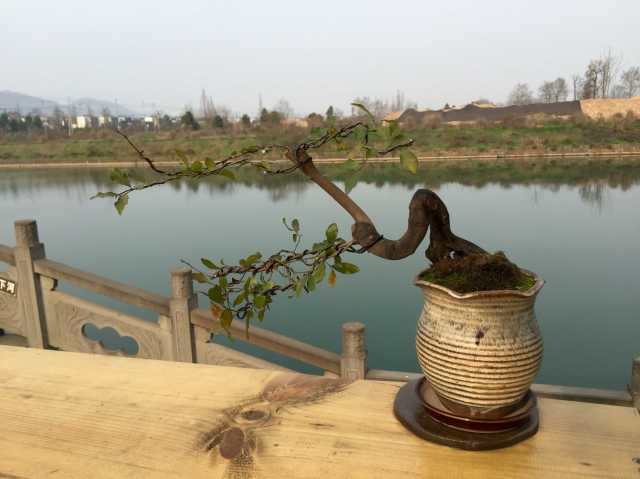 崇州街子古镇青城园河畔花园酒店点评