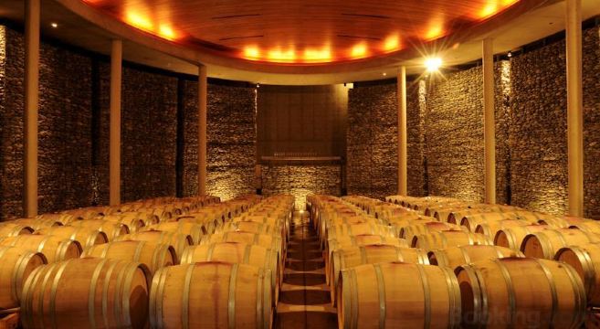 la casona at matetic vineyards