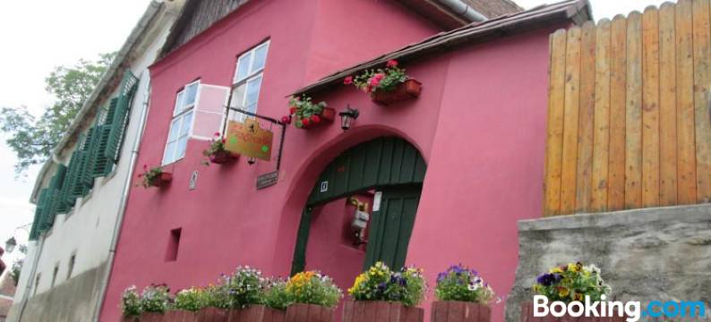 朋斯尼亚克里斯蒂娜帕维尔酒店(Pensiunea Cristina si Pavel)图片