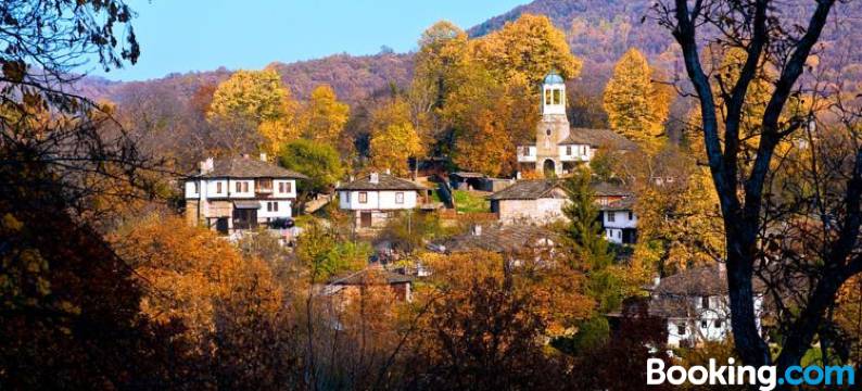 Staroto Shkolo House - Rooms for Guests图片