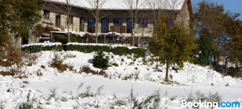 奥菲西纳乔宾馆(Oficina Do Joe Guesthouse)图片