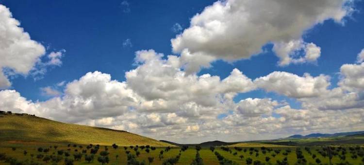 酒店别墅纳祖莱斯(Hotel Spa Villa Nazules)图片