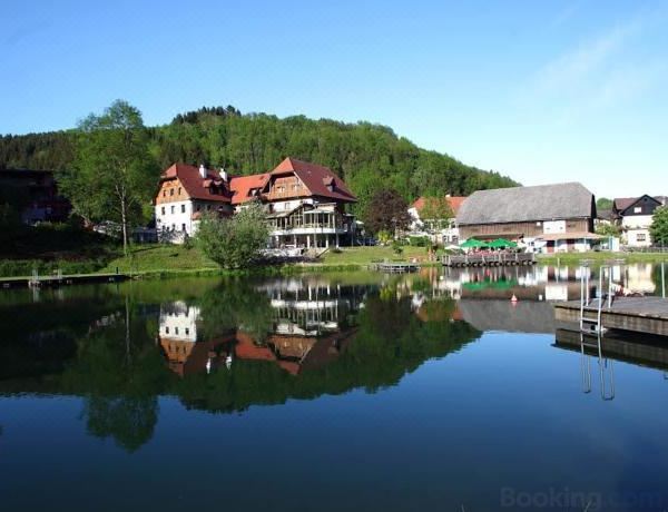 思嘉卜雷恩家庭会议酒店(Seegasthof Breineder - Familien & Seminarhotel)图片