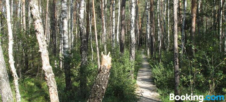 Villa Sofia Boutique Trakai图片