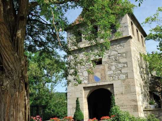 携程酒店-达克森莱茵瑞士青年旅舍(Dachsen a