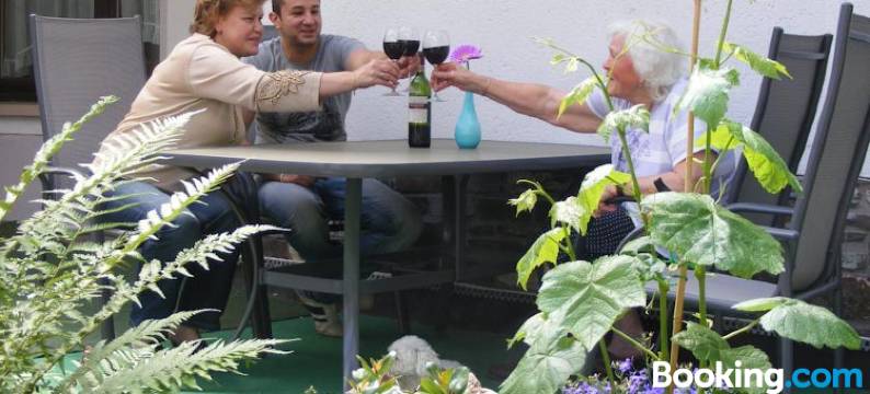 菲林兹蒙斯旅馆(Ferienwohnung Ziemons)图片