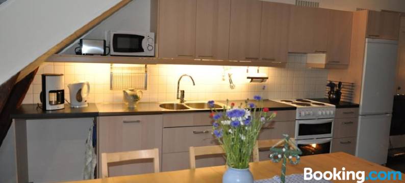 卡尔森帕维克公寓(Carlssons på Vik)图片