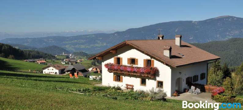 菲兹德霍夫酒店(Fiziderhof)图片