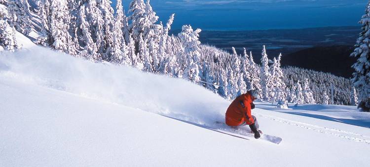 西风酒店会议中心贝斯特韦斯特酒店(Best Western the Westerly Hotel)图片