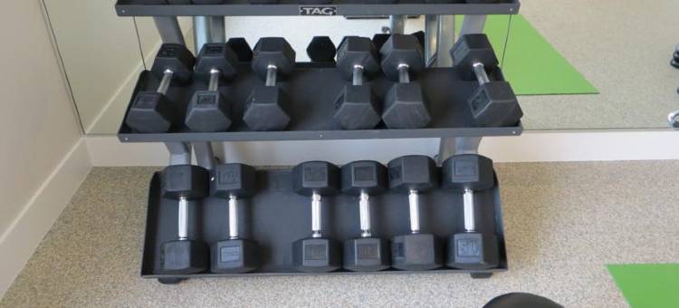 亚历山大酒店(The Alexander)图片