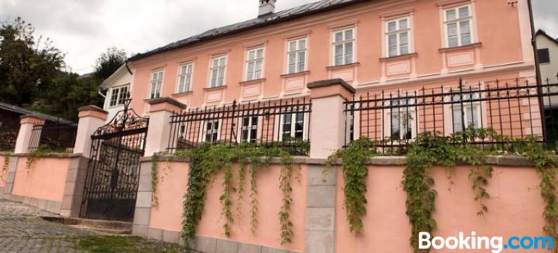 Apartmány Antik Pratterov Dom图片