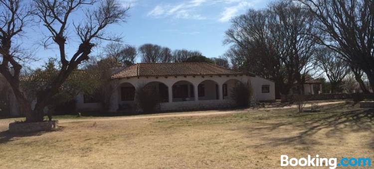 Hotel del Alto图片