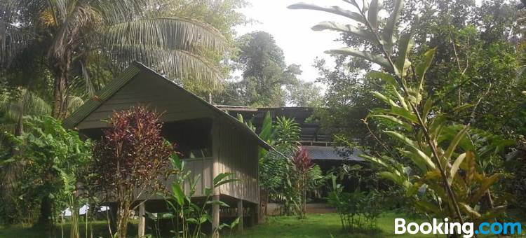 斯塔逊百罗吉卡塔曼朵阿山林小屋(Complejo Ecoturistico Tamandua)图片