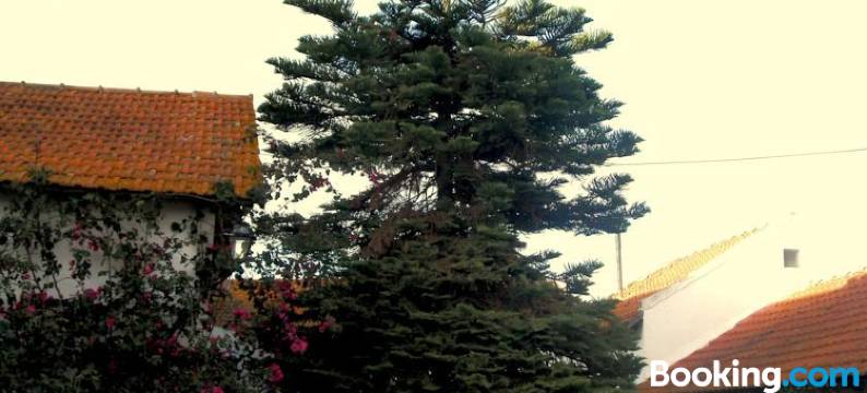 安缇加莫吉姆旅馆(Antiga Moagem)图片