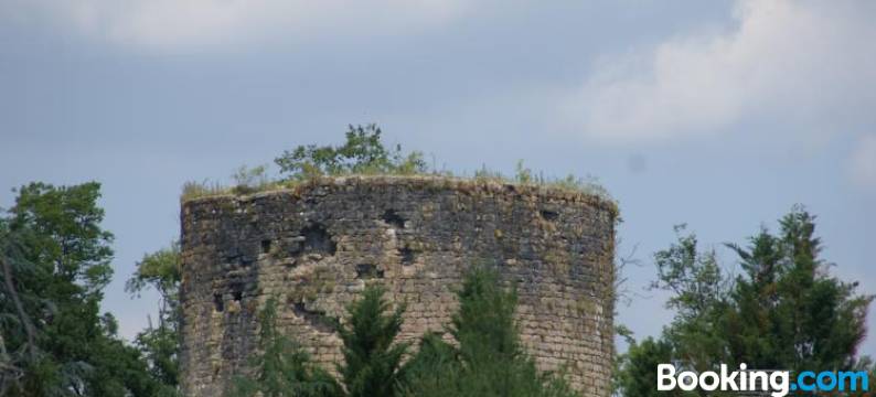 哥特酒店(Hotel de GOT)图片