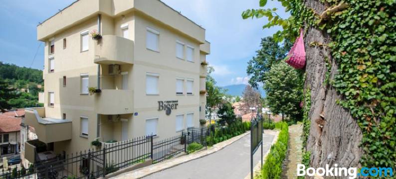 碧瑟尔公寓(Apartments Biser)图片