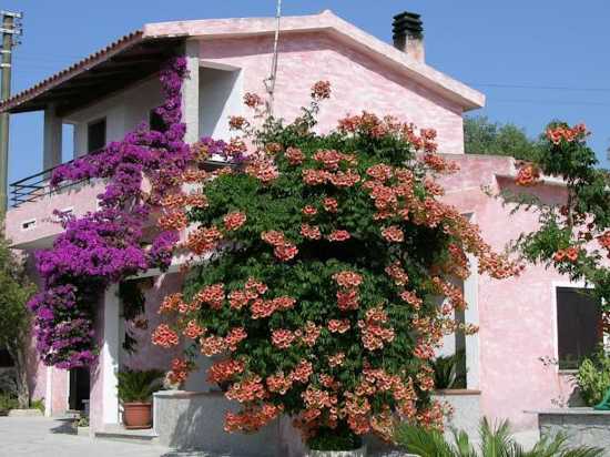 bandb-antico-casolare-sorso