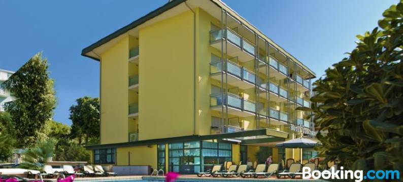 康坎迪亚酒店(Hotel Concordia 3S)图片