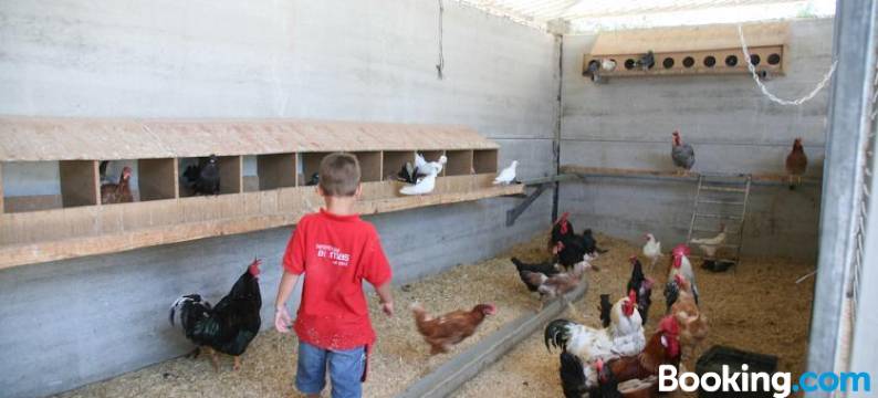 马斯德泽特酒店(El Mas de Xetà)图片