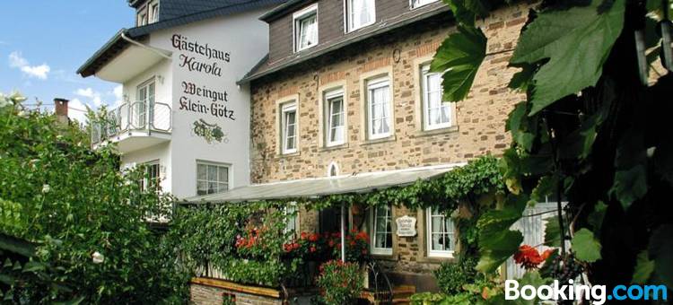 克莱因 - 格茨酒庄旅馆(Weingut Klein-Götz)图片