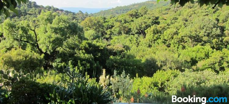 Massacan-Vue Mer图片