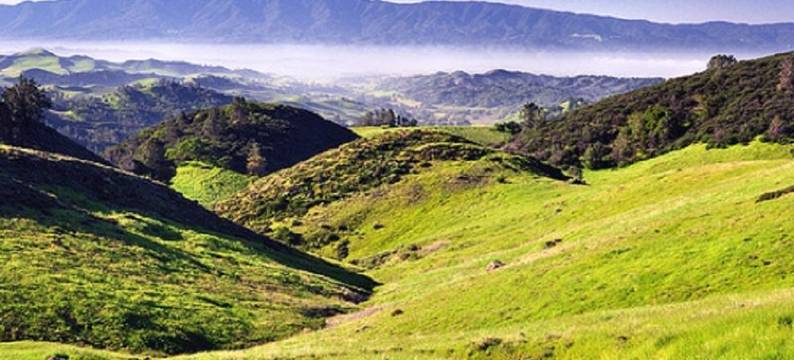 索尔万假日旅馆(Vinland Hotel and Lounge)图片